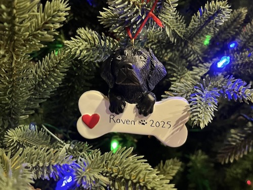 Ornament