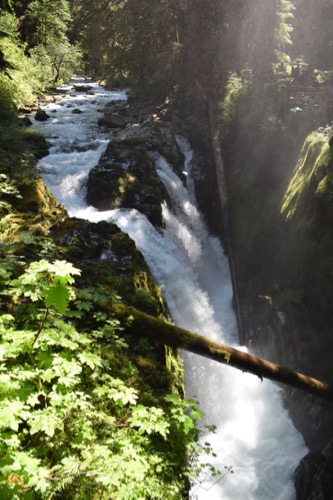 Sol Duc