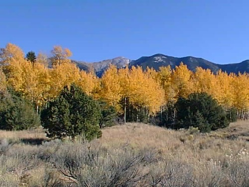 Aspen