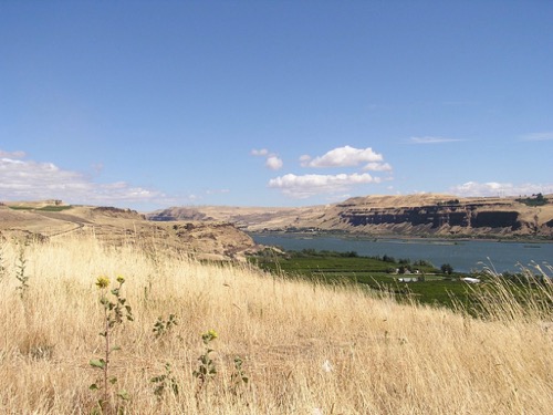 Columbia Gorge