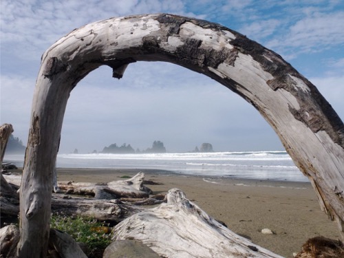 Log Arch