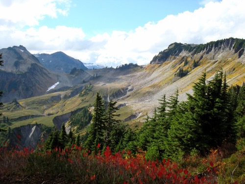 Artist's Point View