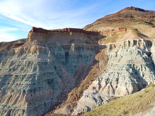 Foree Flood Formation