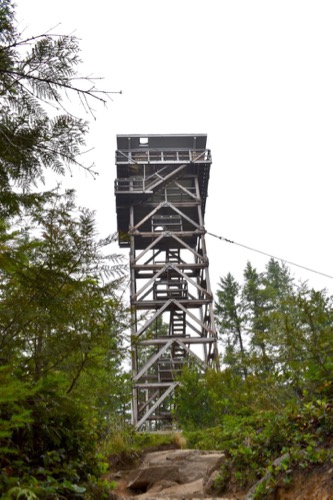 Heybrook Lookout