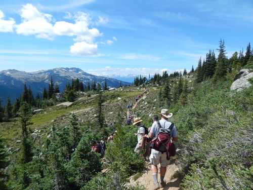 Hiking at Whistler