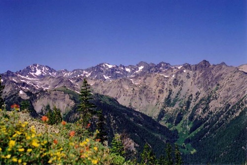 Marmot Pass