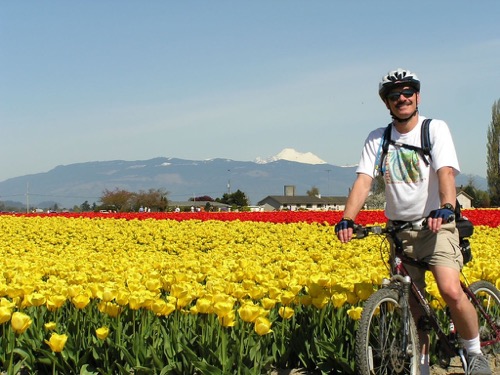 Tulip Fields