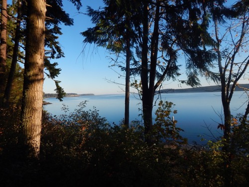 Sequim Bay State Park view