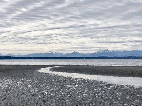 Olympics from Carkeek