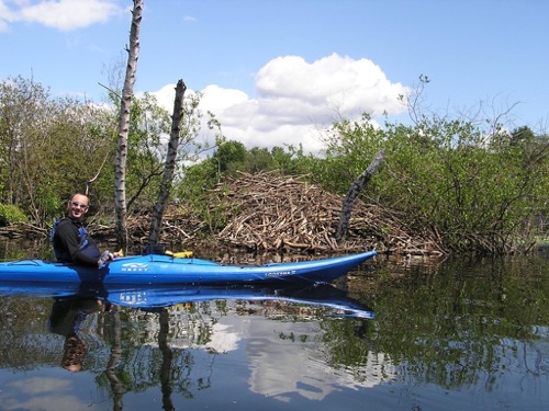 Beaver Lodge