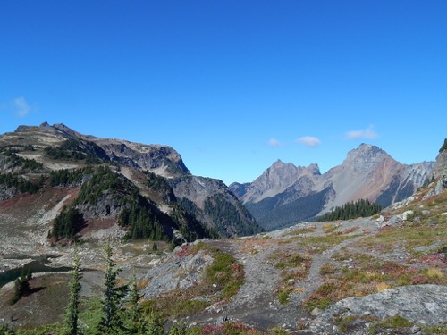 Yellow Aster Butte