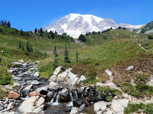 Mt. Rainier