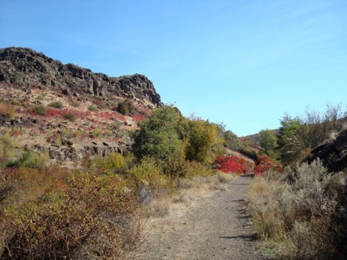 Cowiche Canyon