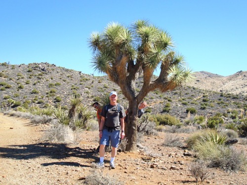 At Joshua Tree