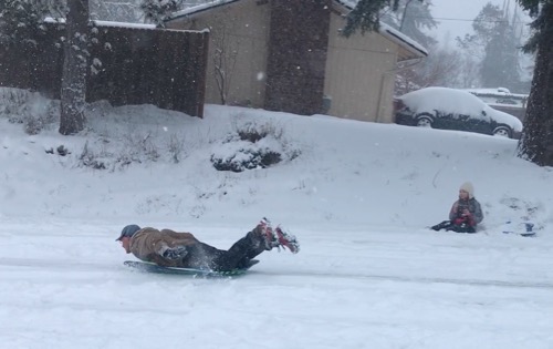 Sledding