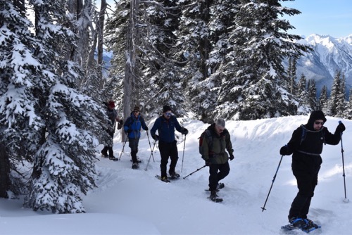 Snowshoeing