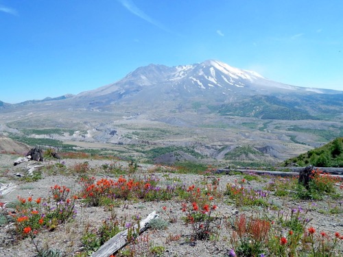 Mt. St. Helens