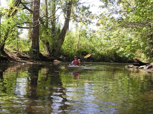 Kayaking Arboretum