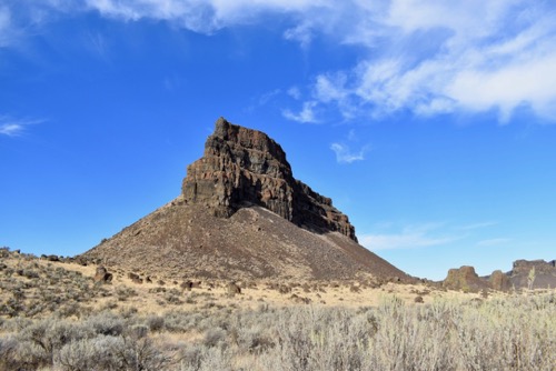 Umatilla Point