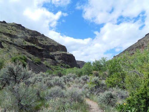 Umtanum Creek Canyon