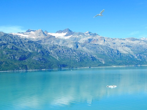 Glacier Bay