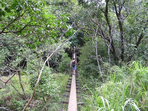 Cable Bridge