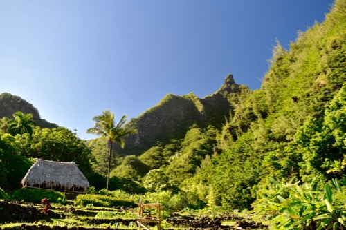 Limahuli Garden