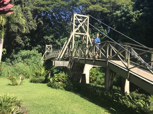 Suspension Bridge