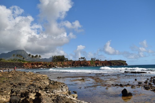 Tide Pools