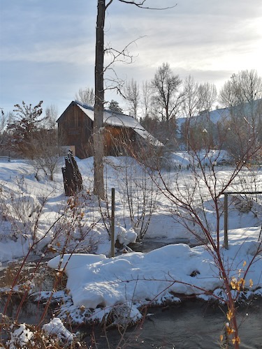 Barn