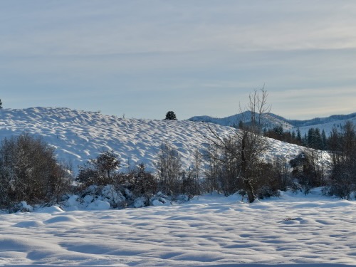 Bumpy Snow