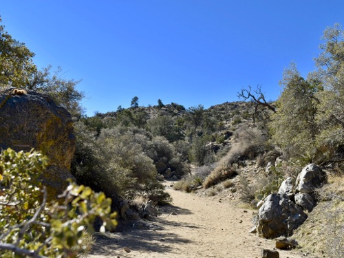 Black Rock Canyon