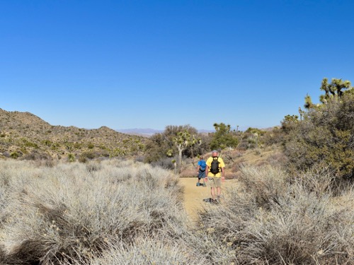 Hiking