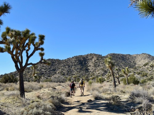 Hiking